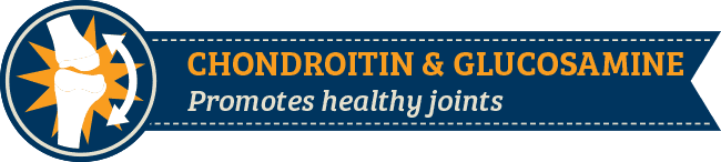 Chondroitin & Glucosamine Chondroitin & Glucosamine