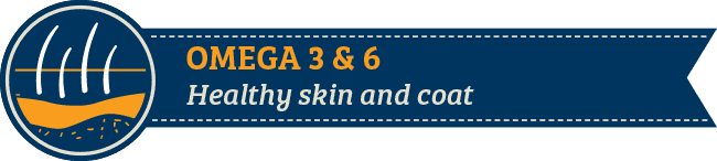 Omega 3 & 6 Omega 3 & 6