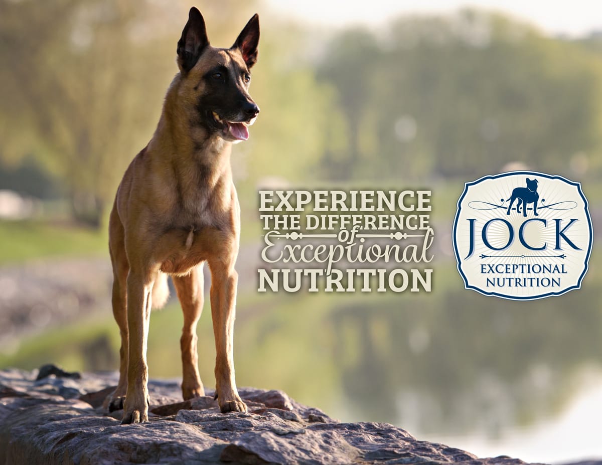 Shepherd dogs: a selection of sites Shepherd dogs: a selection of sites