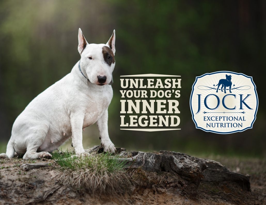Know your breed Bull Terrier JOCK Dog Food