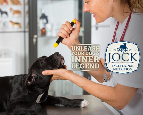 Ask The Expert - Cataracts in dogs